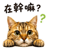 843573404