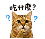 843573405