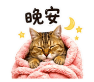 843573415
