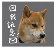 843573882