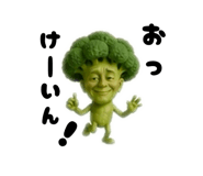 843574095