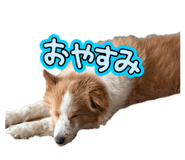 843574147