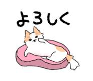 843574251