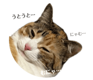843574399