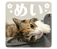 843574405