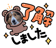 843574437