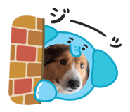 843574442