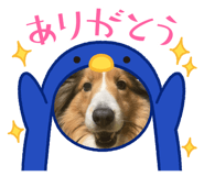 843574447