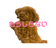 843574463
