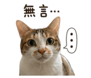 843574608