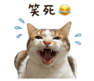 843574610