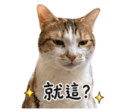 843574628