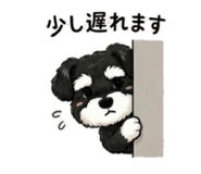 843574753