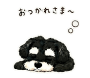843574842