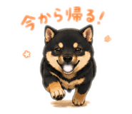 843575006