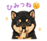 843575013