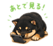 843575014