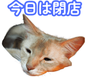 843575463