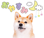 843575540