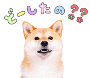 843575542