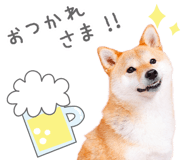 843575543
