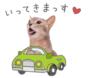 843575550