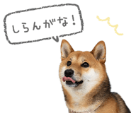 843575553