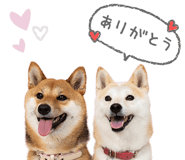843575560