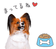 843575624