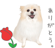 843575625