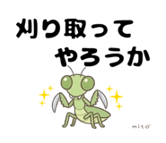 843575760