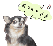843575787