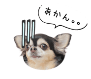 843575788