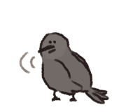 843575923
