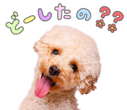 843576006