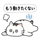 843576221