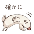 843576356