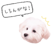 843576361