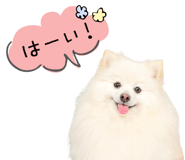 843576400