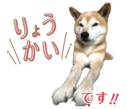 843576455