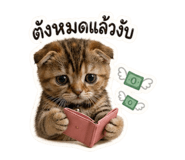 843577096