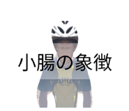 843577288