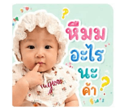 843577516