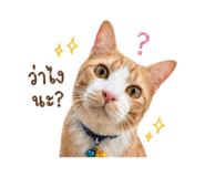 843577542
