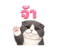 843577818