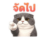 843577828