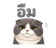 843577831