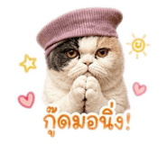 843577857