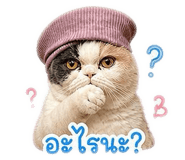 843577858