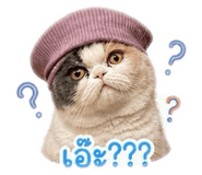843577868